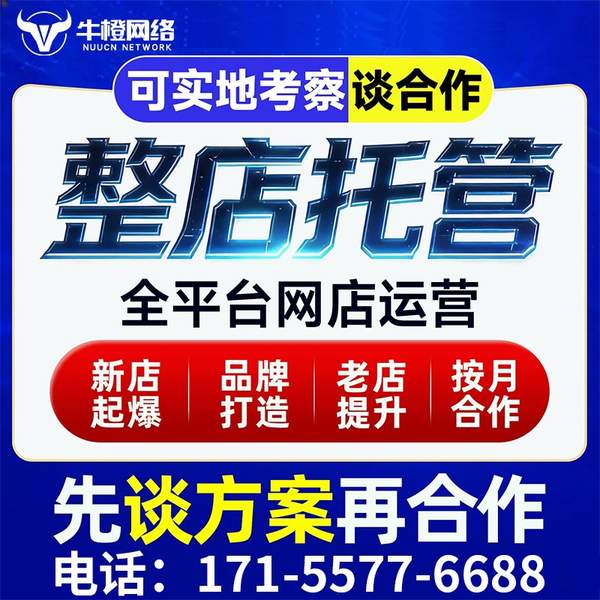 黔南电商代运营
