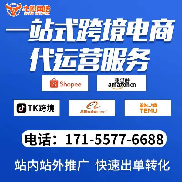 黔南电商代运营