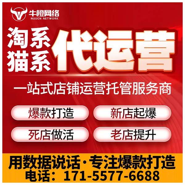 黔南电商代运营